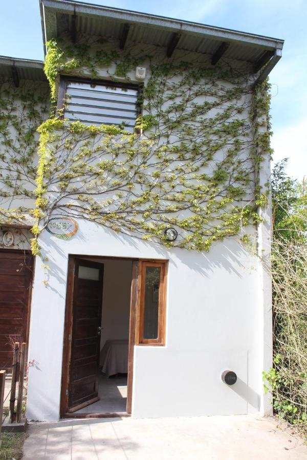 Апартаменты Casita Moderna Frente Al Bosque Мар-дель-Плата Экстерьер фото